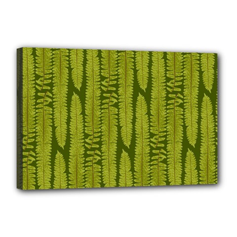 Fern Texture Nature Leaves Canvas 18  X 12  (stretched)