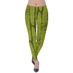 Fern Texture Nature Leaves Velvet Leggings