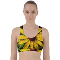 Sunflower Painting Back Weave Sports Bra by ExtraGoodSauce