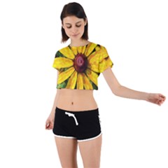 Sunflower Painting Tie Back Short Sleeve Crop Tee by ExtraGoodSauce