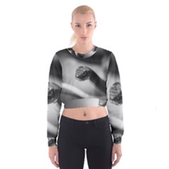 Black And White Snake Cropped Sweatshirt by ExtraGoodSauce