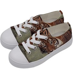 Swimming Tiger Kids  Low Top Canvas Sneakers by ExtraGoodSauce