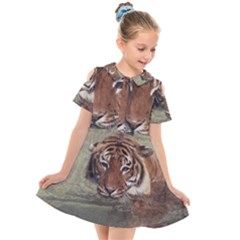 Swimming Tiger Kids  Short Sleeve Shirt Dress by ExtraGoodSauce