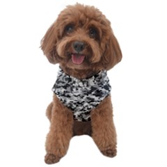 Camouflage Bw Dog Sweater by JustToWear