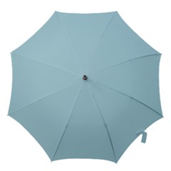 Color Light Blue Hook Handle Umbrellas (small)