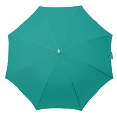 Color Light Sea Green Straight Umbrellas
