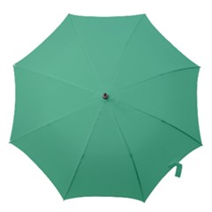Color Medium Aquamarine Hook Handle Umbrellas (small)