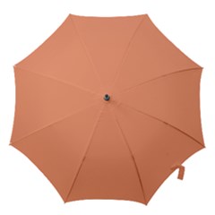 Color Light Salmon Hook Handle Umbrellas (small)
