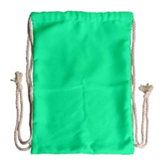 Color Medium Spring Green Drawstring Bag (large) by Kultjers