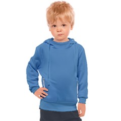 Color Steel Blue Kids  Hooded Pullover by Kultjers