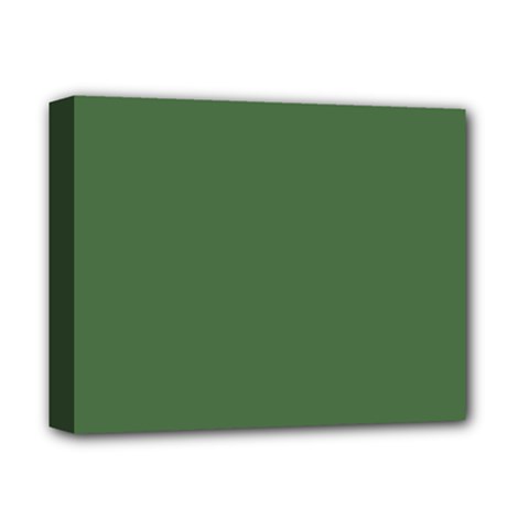 Color Artichoke Green Deluxe Canvas 14  X 11  (stretched)