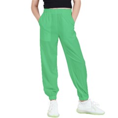 Color Paris Green Kids  Elastic Waist Pants by Kultjers