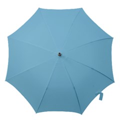 Color Baby Blue Hook Handle Umbrellas (Large)