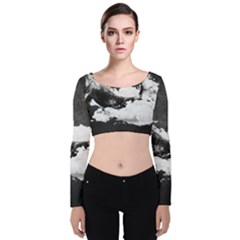 Whale Dream Velvet Long Sleeve Crop Top by goljakoff