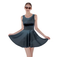 Whales Family Skater Dress by goljakoff