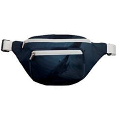 Whales Family Fanny Pack by goljakoff