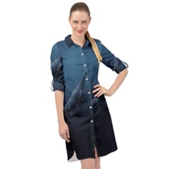 Blue Whales Long Sleeve Mini Shirt Dress by goljakoff