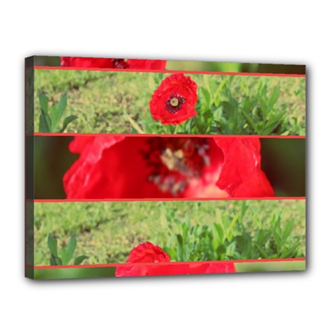 Photos Collage Coquelicots Canvas 16  X 12  (stretched)