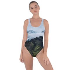Green Mountain Bring Sexy Back Swimsuit by goljakoff