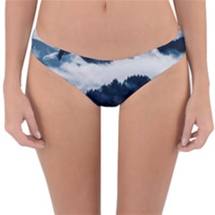 Whales Peak Reversible Hipster Bikini Bottoms by goljakoff