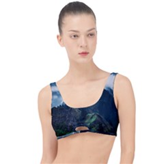 Whales Peak The Little Details Bikini Top by goljakoff