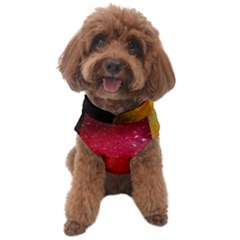 Red And Yellow Drops Dog Sweater