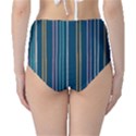 Multicolored Stripes On Blue Classic High-Waist Bikini Bottoms View2