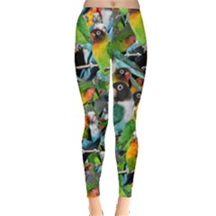 Lovebirds by Leggings