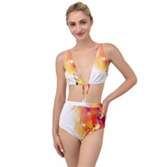 Autumn Paint Tied Up Two Piece Swimsuit by goljakoff