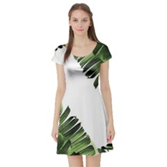 Green Banana Leaves Short Sleeve Skater Dress by goljakoff