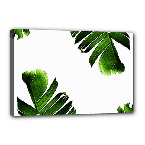 Banana Leaves Canvas 18  X 12  (stretched) by goljakoff