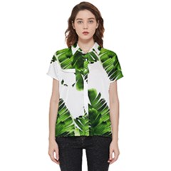 Banana Leaves Short Sleeve Pocket Shirt by goljakoff