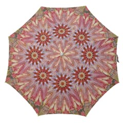 Pink Beauty 1 Straight Umbrellas by LW41021