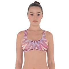 Pink Beauty 1 Got No Strings Sports Bra by LW41021