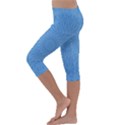 Blue Joy Kids  Lightweight Velour Capri Leggings  View2