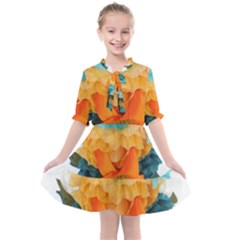 Spring Flowers Kids  All Frills Chiffon Dress by LW41021