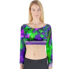 Feathery Winds Long Sleeve Crop Top by LW41021