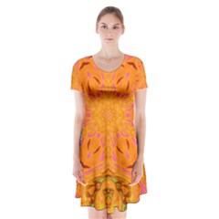 Fresh Spring Short Sleeve V-neck Flare Dress by LW323