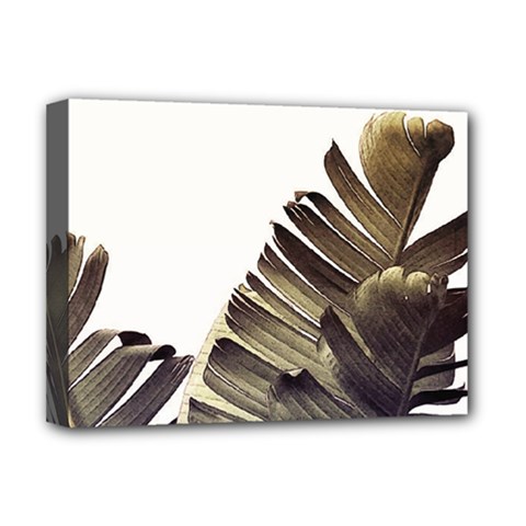 Vintage Banana Leaves Deluxe Canvas 16  X 12  (stretched)  by goljakoff