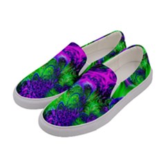 Feathery Winds Women s Canvas Slip Ons by LW323