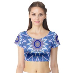 Softtouch Short Sleeve Crop Top