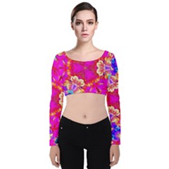 Pink Beauty Velvet Long Sleeve Crop Top by LW323