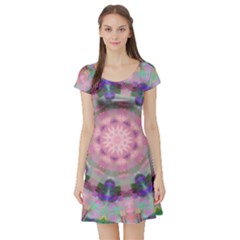 Beautiful Day Short Sleeve Skater Dress by LW323