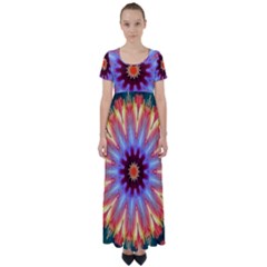 Passion Flower High Waist Short Sleeve Maxi Dress by LW323