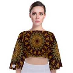 Woodwork Tie Back Butterfly Sleeve Chiffon Top by LW323