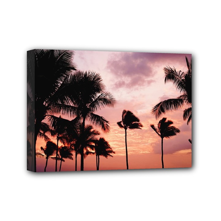 Palm Trees Mini Canvas 7  x 5  (Stretched)