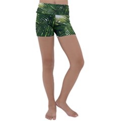 Relaxing Palms Kids  Lightweight Velour Yoga Shorts