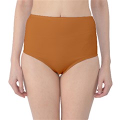 Alloy Orange Classic High-waist Bikini Bottoms by FabChoice