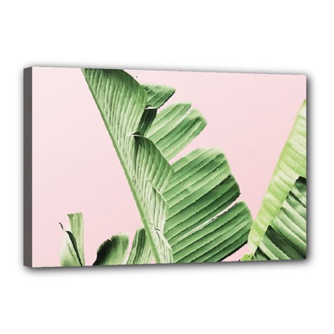 Palm Leaves On Pink Canvas 18  X 12  (stretched) by goljakoff