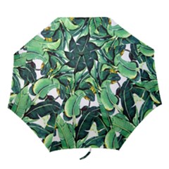 Banana Leaves Folding Umbrellas by goljakoff